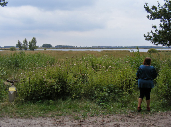 DSCF2402-plas.jpg