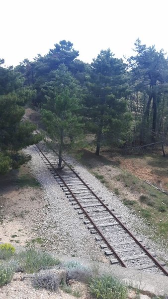 boom in spoor (450x800).jpg