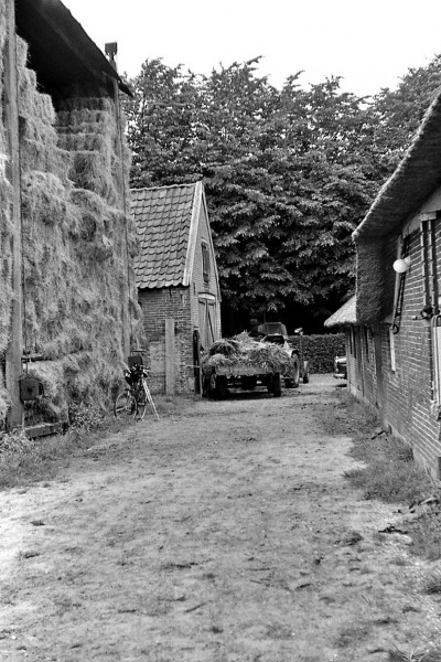 Boerderij Calis, richting Dorpsstraat, zomer 1973.jpg