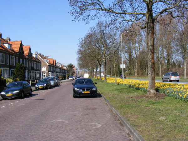 Berm met narcissen.jpg