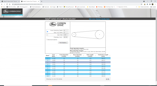 Mijn score opde Gates Bicycle Calculator.png