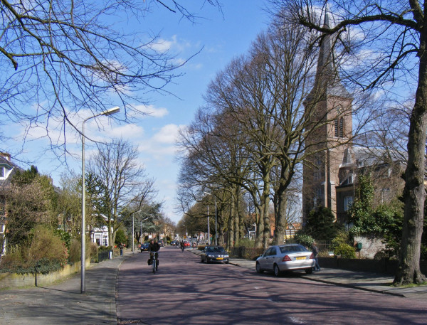 Straat met bomen.jpg