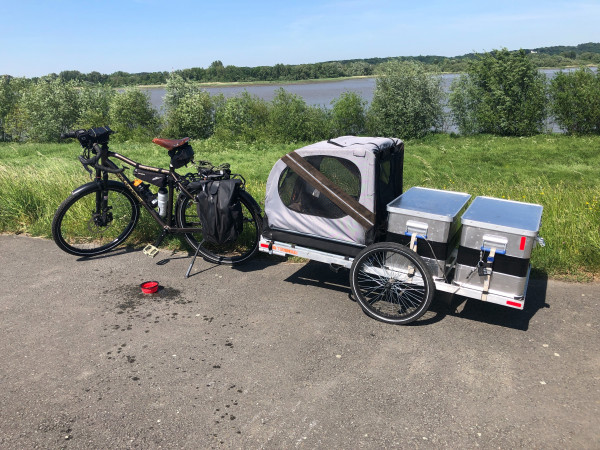 Fietstrailer hond.JPG