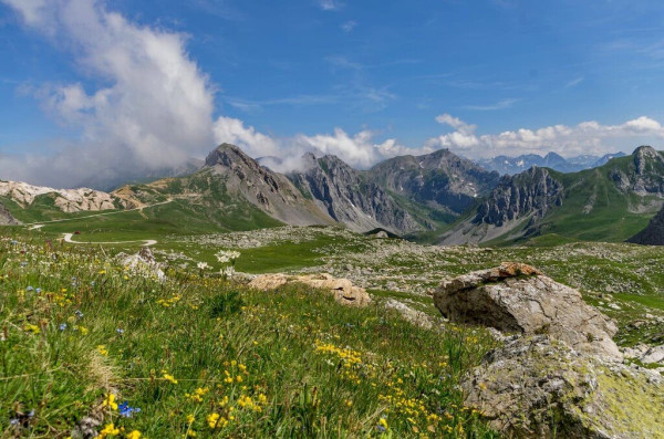 Parco-Naturale-delle-Alpi-Marittime.jpg