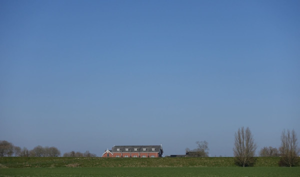 Knipsele.JPG