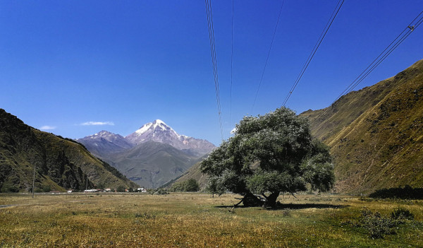 IMG_20220819_kazbek.jpg