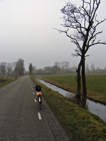 DSCF9037-bew.jpg