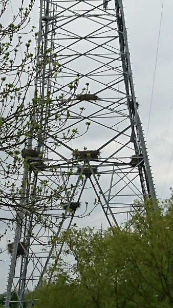 DSC_0054.JPG (207.87 KiB) 1021 keer bekeken DSC_0054.JPG