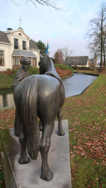 paard.jpg