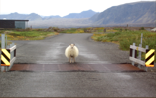 Screenshot_1151.png (1.15 MiB) 1464 keer bekeken Screenshot_1151.png