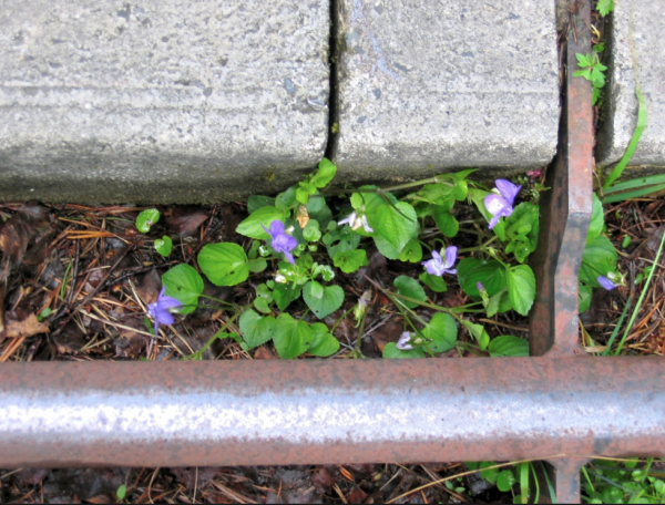 Screenshot_1155.png (1.47 MiB) 1464 keer bekeken Screenshot_1155.png