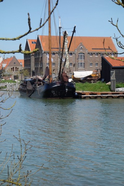 Krententuin-Hoorn.jpg