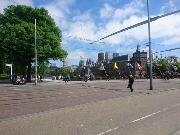 Den Haag-Hofvijver.jpg