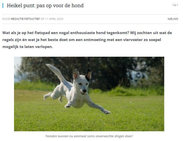 hond.JPG