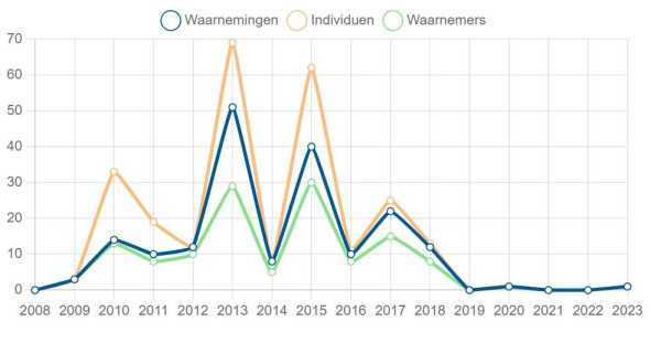 Aantal waarnemingen Morgenrood.jpg