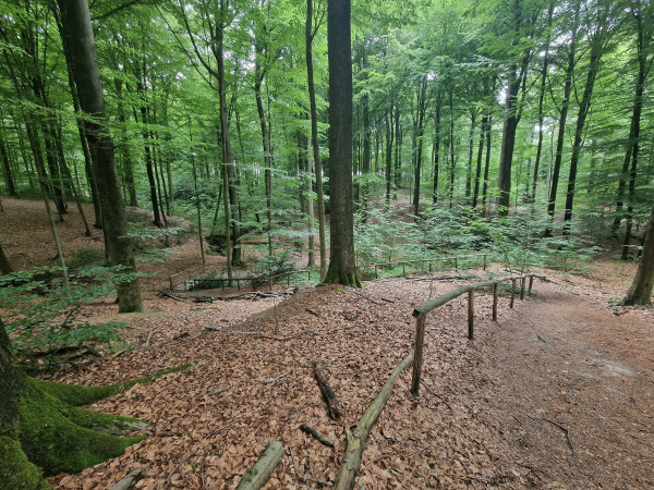 20230722_152034.jpg (4.12 MiB) 1563 keer bekeken 20230722_152034.jpg