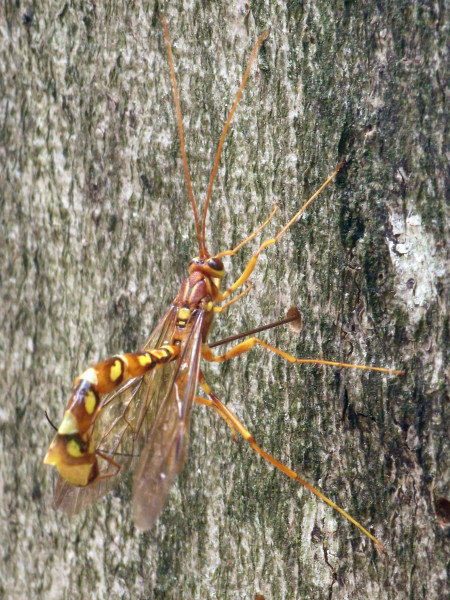 20230722_162811.jpg (1.13 MiB) 1563 keer bekeken 20230722_162811.jpg