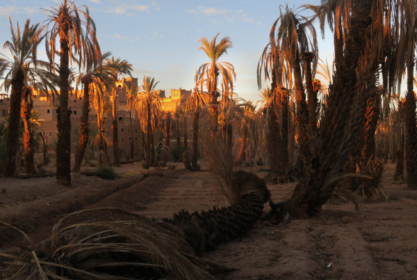 1027183413.JPG (1.85 MiB) 5880 keer bekeken 1027183413.JPG