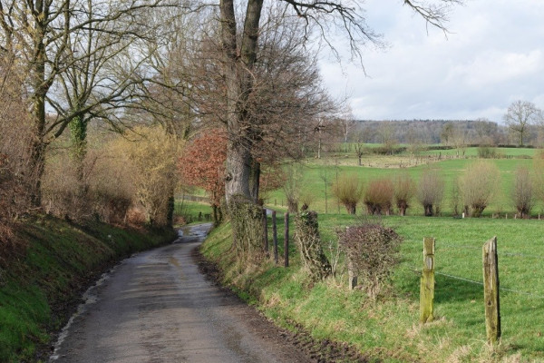 Rue des Champs naar Montzen-Gare3.JPG