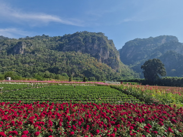 20231215_105635.jpg (2.46 MiB) 820 keer bekeken 20231215_105635.jpg