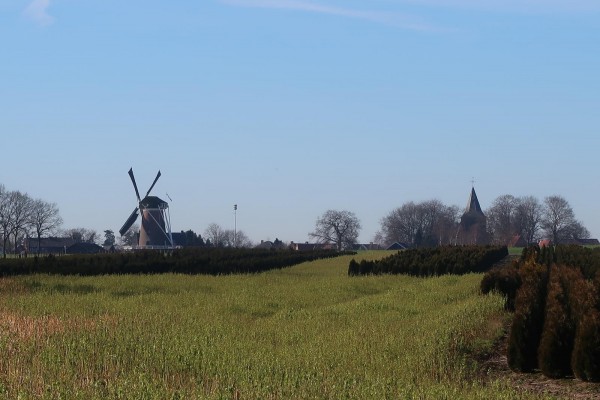 molen.jpg