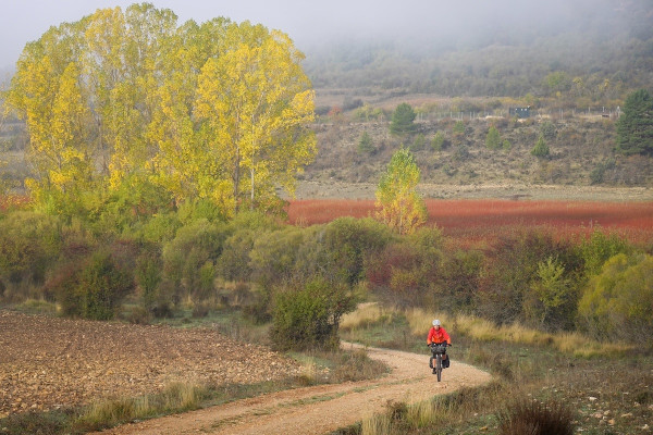 202410 Spanje 118.JPG