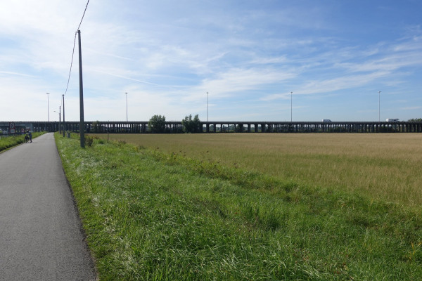 weg05.jpg