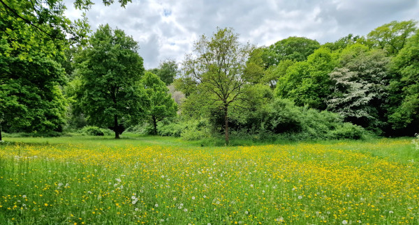 20250506_184420.jpg (2 MiB) 2423 keer bekeken 20250506_184420.jpg