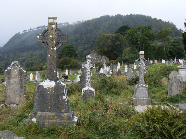 DSCF2920.JPG