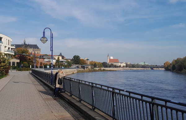 20241018_114701.jpg