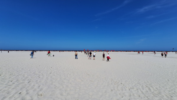 20250615_131259.jpg