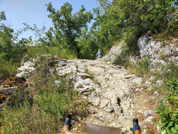 Dordogne.jpg