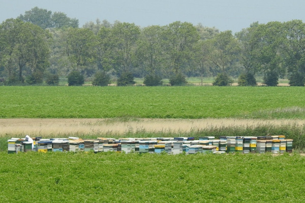 DSCN9709.JPG