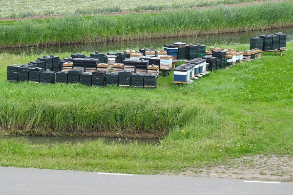 DSCN9710.JPG