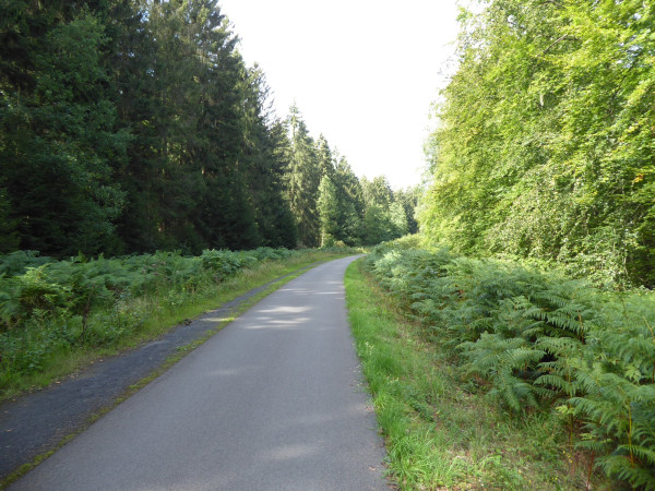 P1010854.JPG