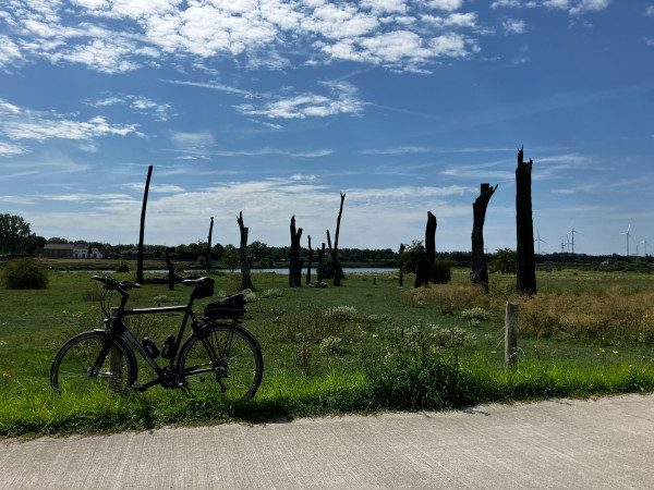 fietspad 2.jpeg