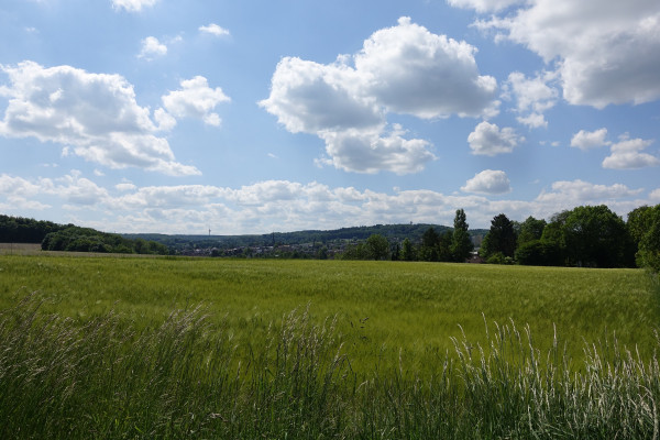 landscape.jpg