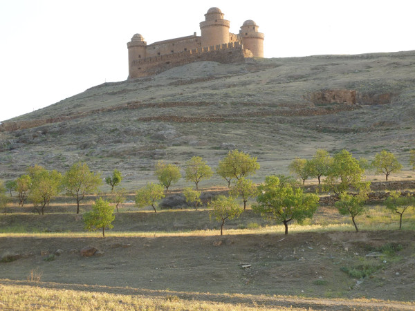 P1050690.JPG