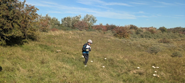 PXL_20250925_095137175.MP.jpg