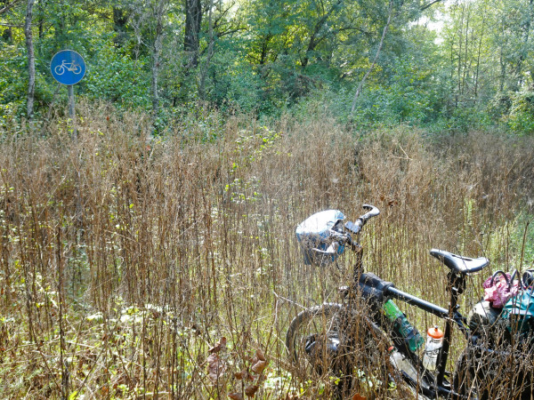 DSC03022.JPG