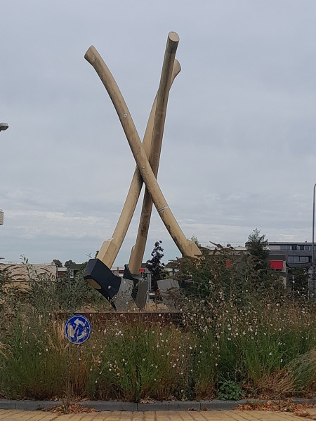 20250826_154855-bew.jpg