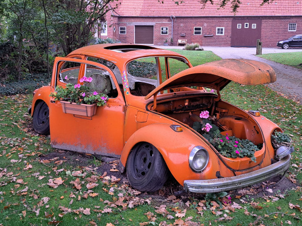 VW.jpg