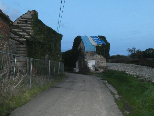 658.jpg