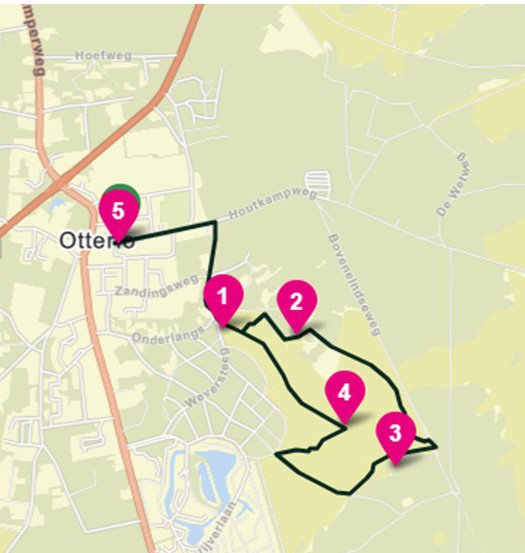 Otterlo - wild zwijn.jpg