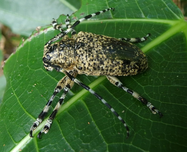 20251210_093302.jpg (260.43 KiB) 635 keer bekeken 20251210_093302.jpg