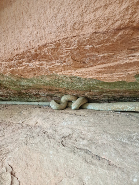 20251210_100047.jpg (2.4 MiB) 491 keer bekeken 20251210_100047.jpg