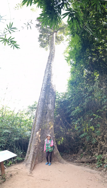 20251210_093751.jpg (1.3 MiB) 75 keer bekeken 20251210_093751.jpg