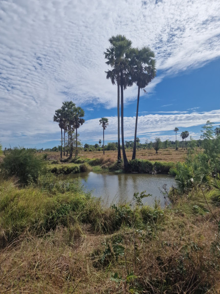 20251214_100517.jpg (1.93 MiB) 113 keer bekeken 20251214_100517.jpg