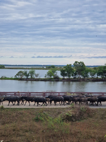 20251214_163412.jpg (1.63 MiB) 113 keer bekeken 20251214_163412.jpg