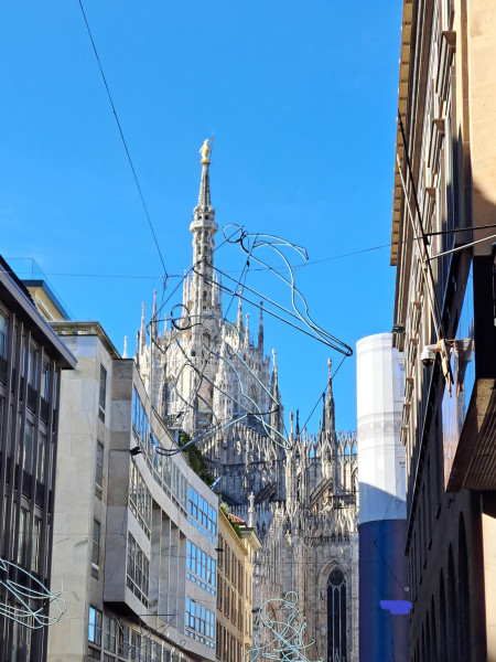 Raadplaat 28-03-2026.jpg